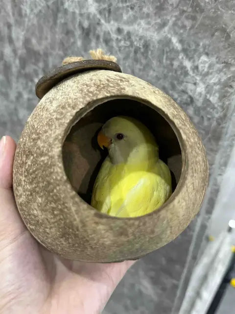 OakenArk coconut shell birdhouse craft with a small yellow bird