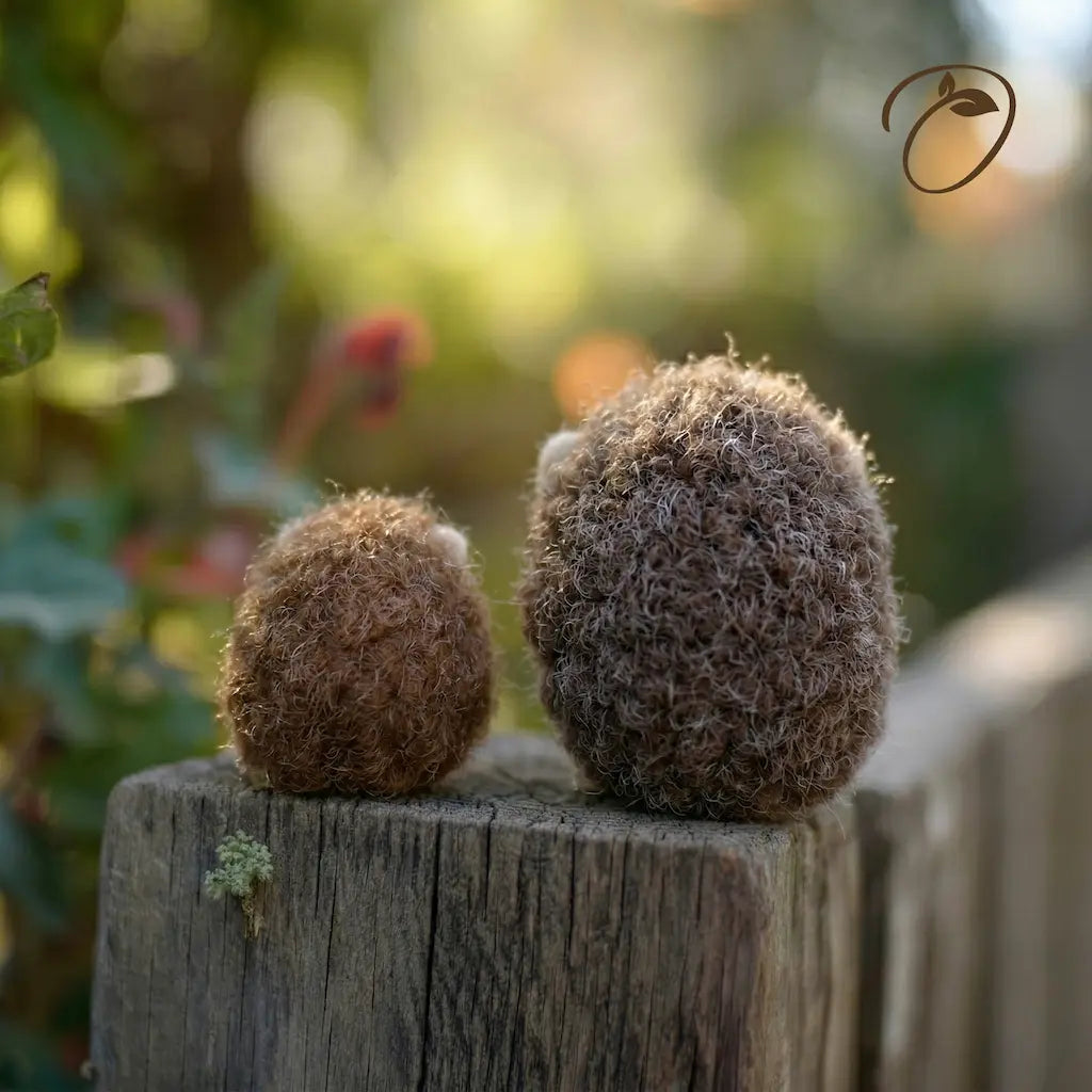 Two small, round, brown plants on a wooden post with a blurred natural background