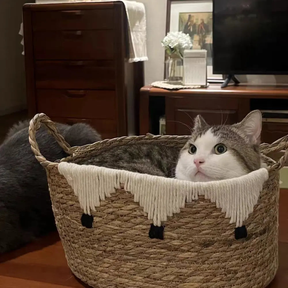 Cute cat peeking from a handwoven Pimajun grass and cotton basket, pet bed, cozy decor