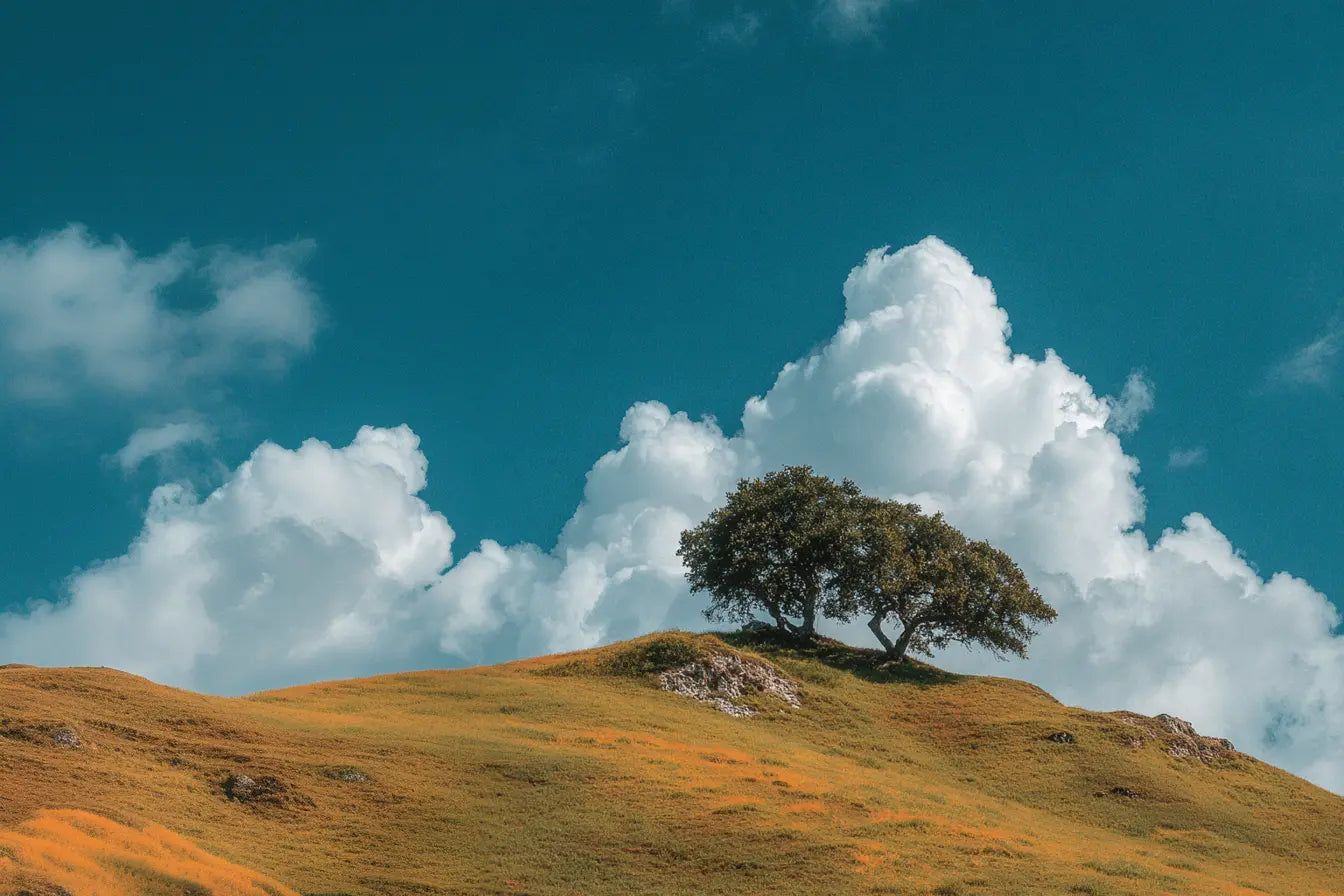 Oak Tree