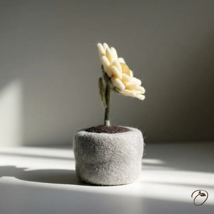 Small felted flower in a gray felt pot on a light surface with a dark background