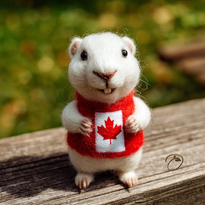 Stuffed animal wearing a red sweater with a maple leaf on a wooden surface