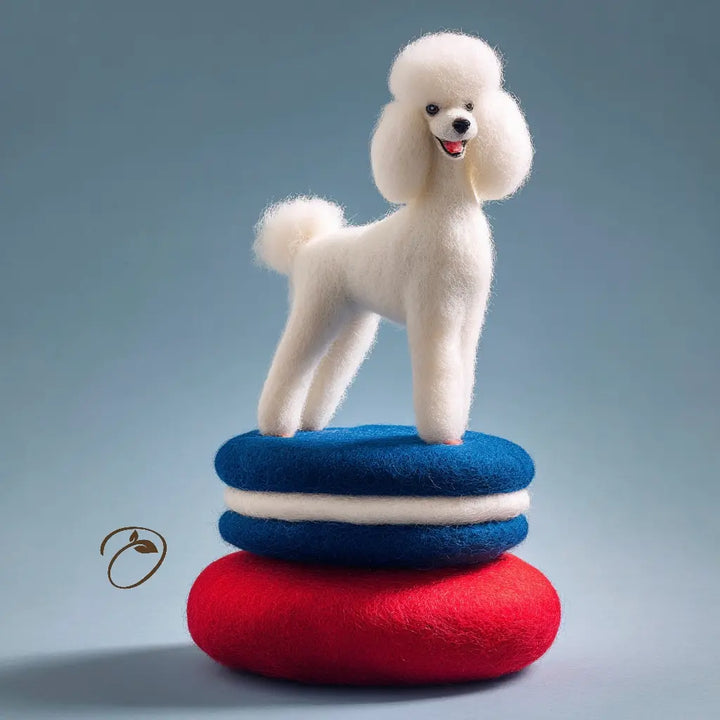 White poodle standing on a stack of red and blue felted pillows against a gray background