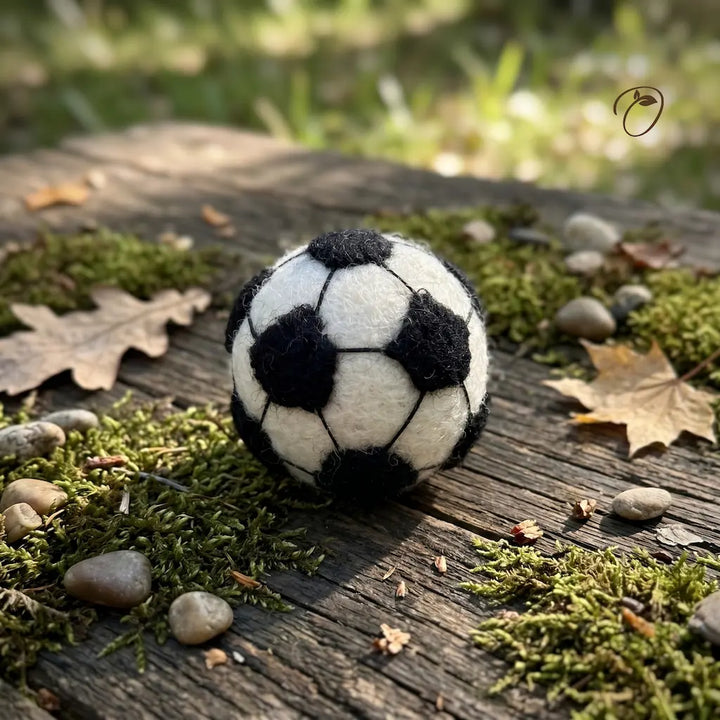 Black and white soccer ball on a wooden surface with moss and leaves