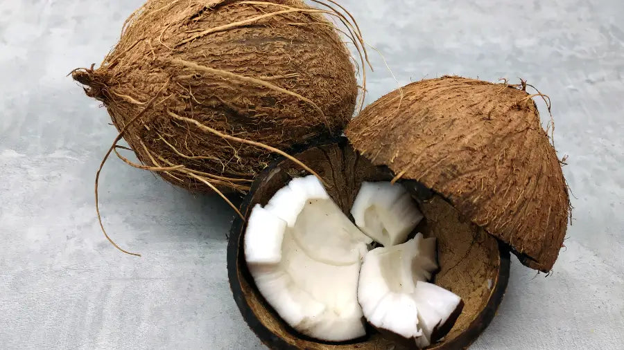 Coconut with a split open on a light gray background