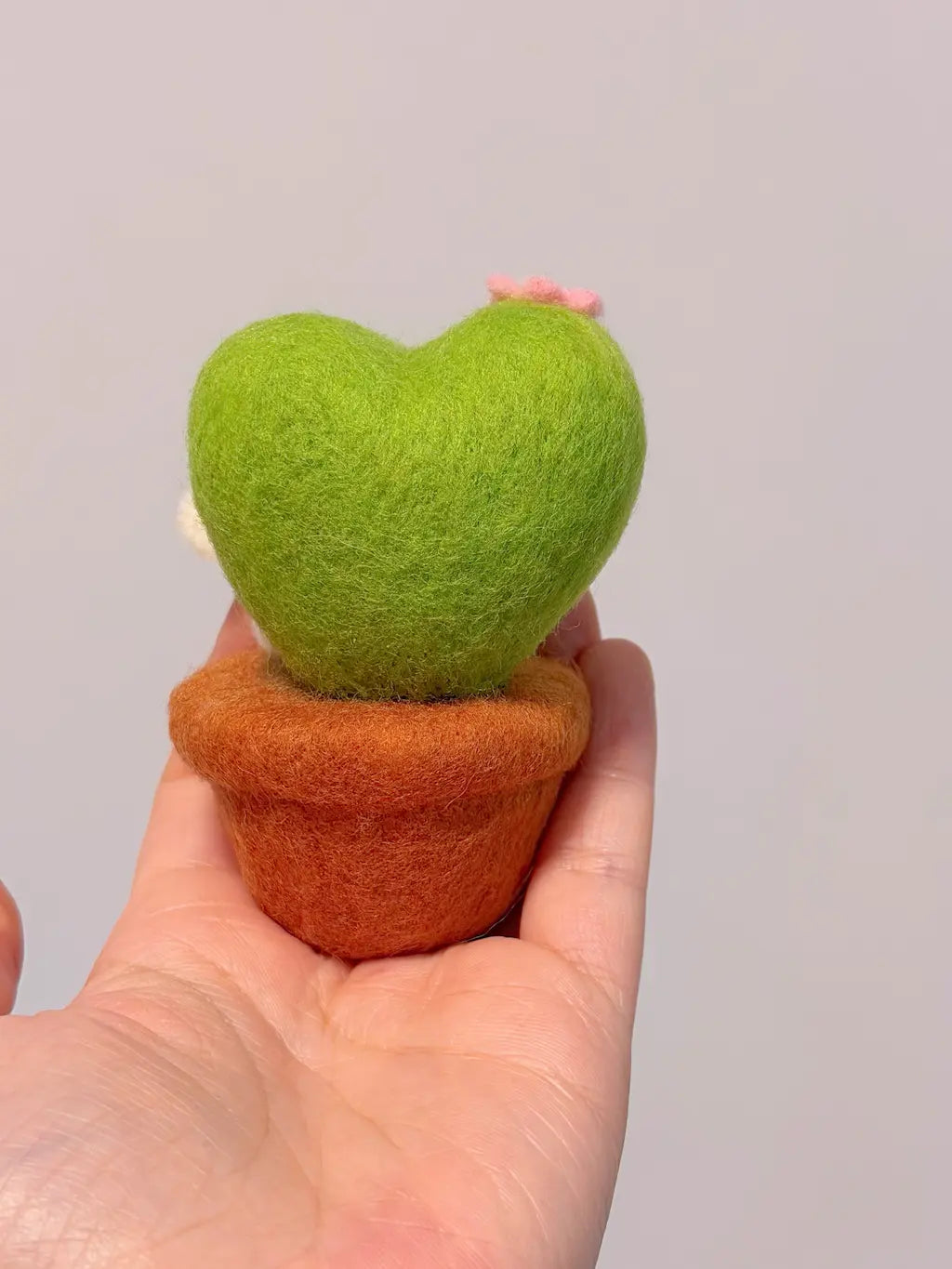 Heart-shaped green plant in a brown pot held in a hand against a plain background